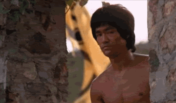 Bruce Lee approves