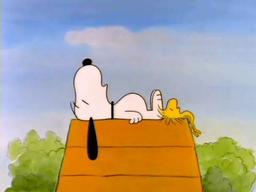 Snoopy sleeping
